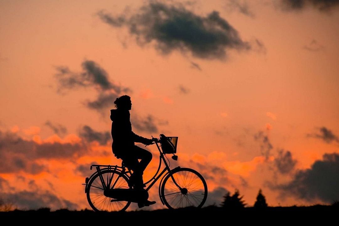 silhouette-683751 1280