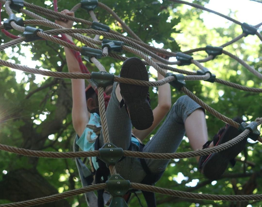 climbing-forest-906973 1280