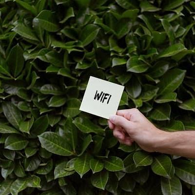 Image of a person holding a paper with wii-fi written on it