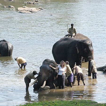 Dubare Elephant Camp