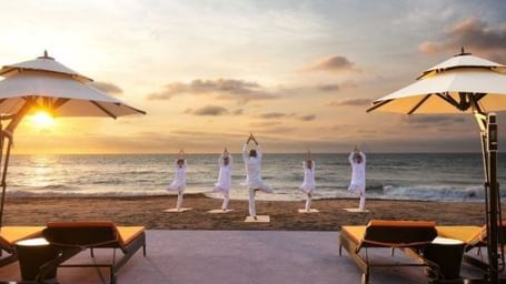 A group of people in a standing yoga position with the beach and the golden sun in the background.