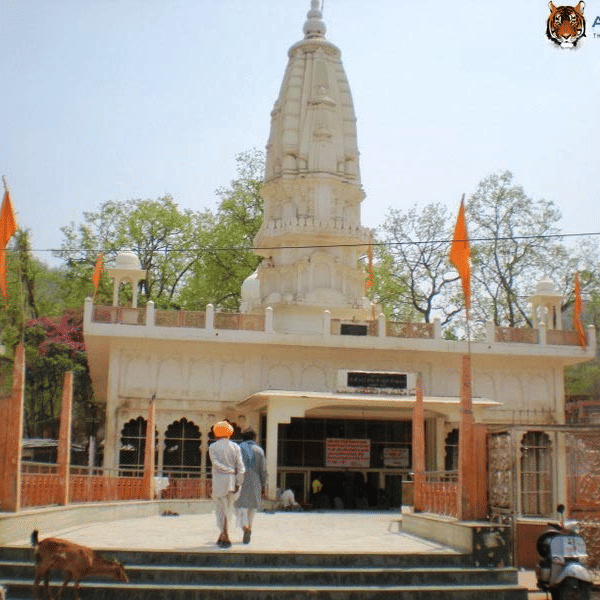 NARAYANI MATA TEMPLE - Surya Bagh Experiences