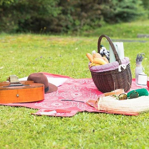 Picnic Spots for the Perfect Day