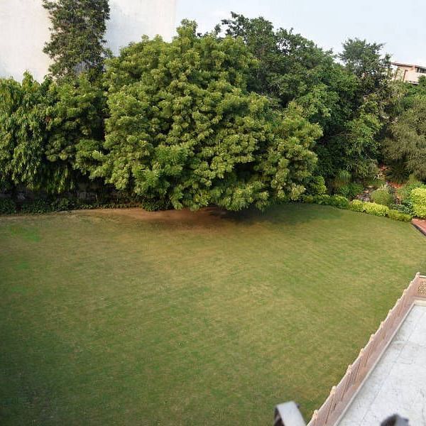 garden1-800x600-800x600