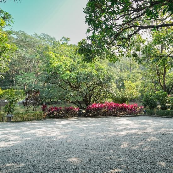 A wide shot of a garden with trees and a paved area, suggesting an outdoor space.