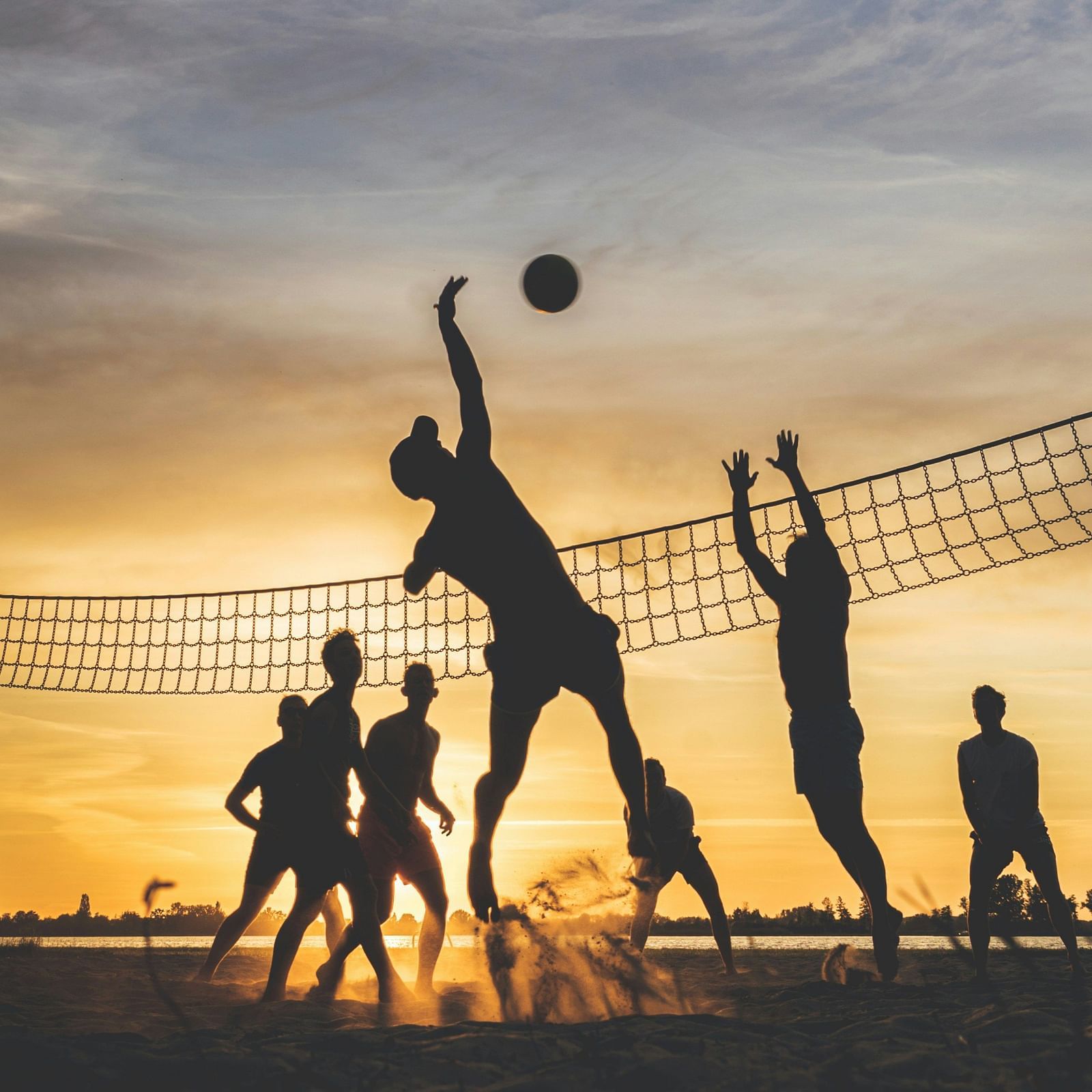 people playing volleyball