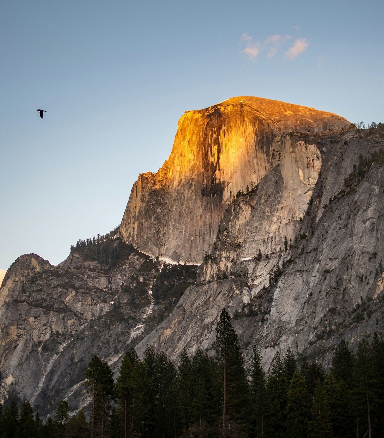 a bird flying past a rocky mountain peak during the day.