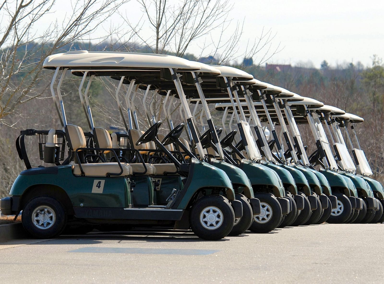 Row of golf carts parked outdoors with barren trees in the background.