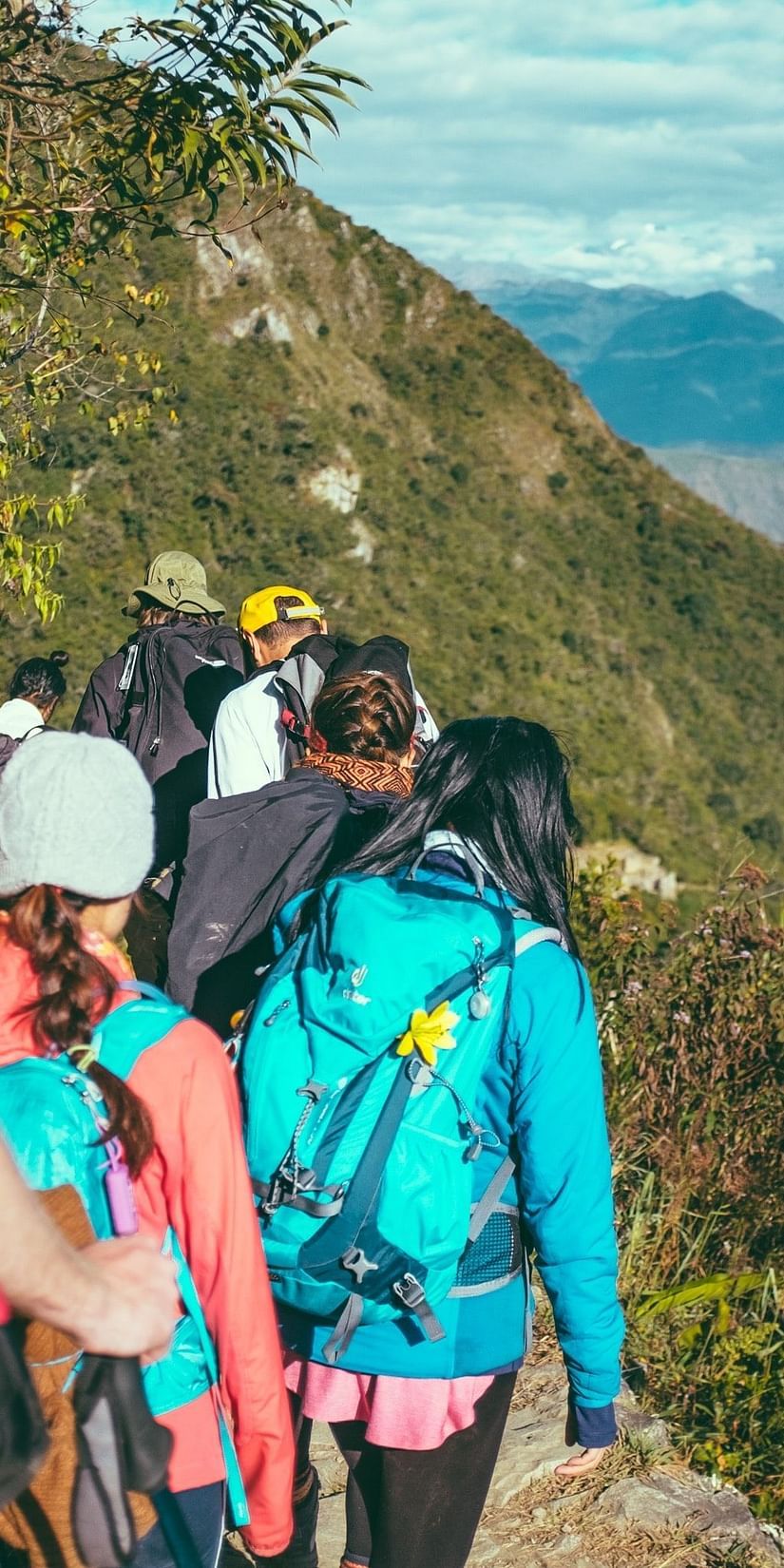 a group of people trekking amidst greenery