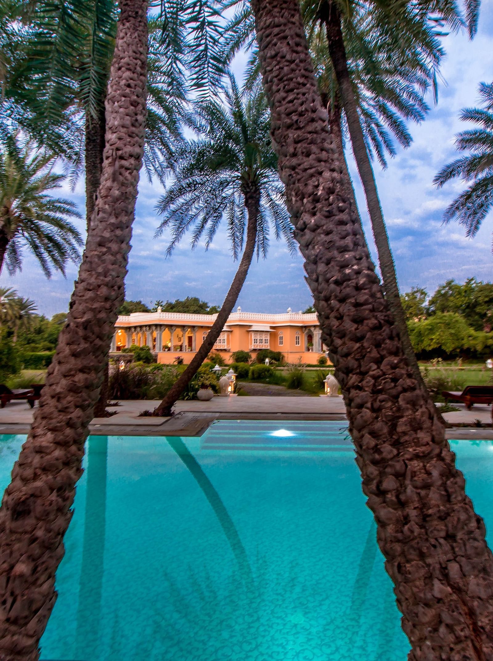 image of a beautiful Swimming pool lined by palm trees at Dev Shree, deogarh