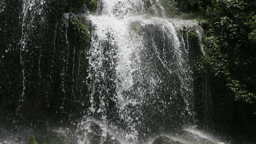 Waterfall on Rocks in Forest