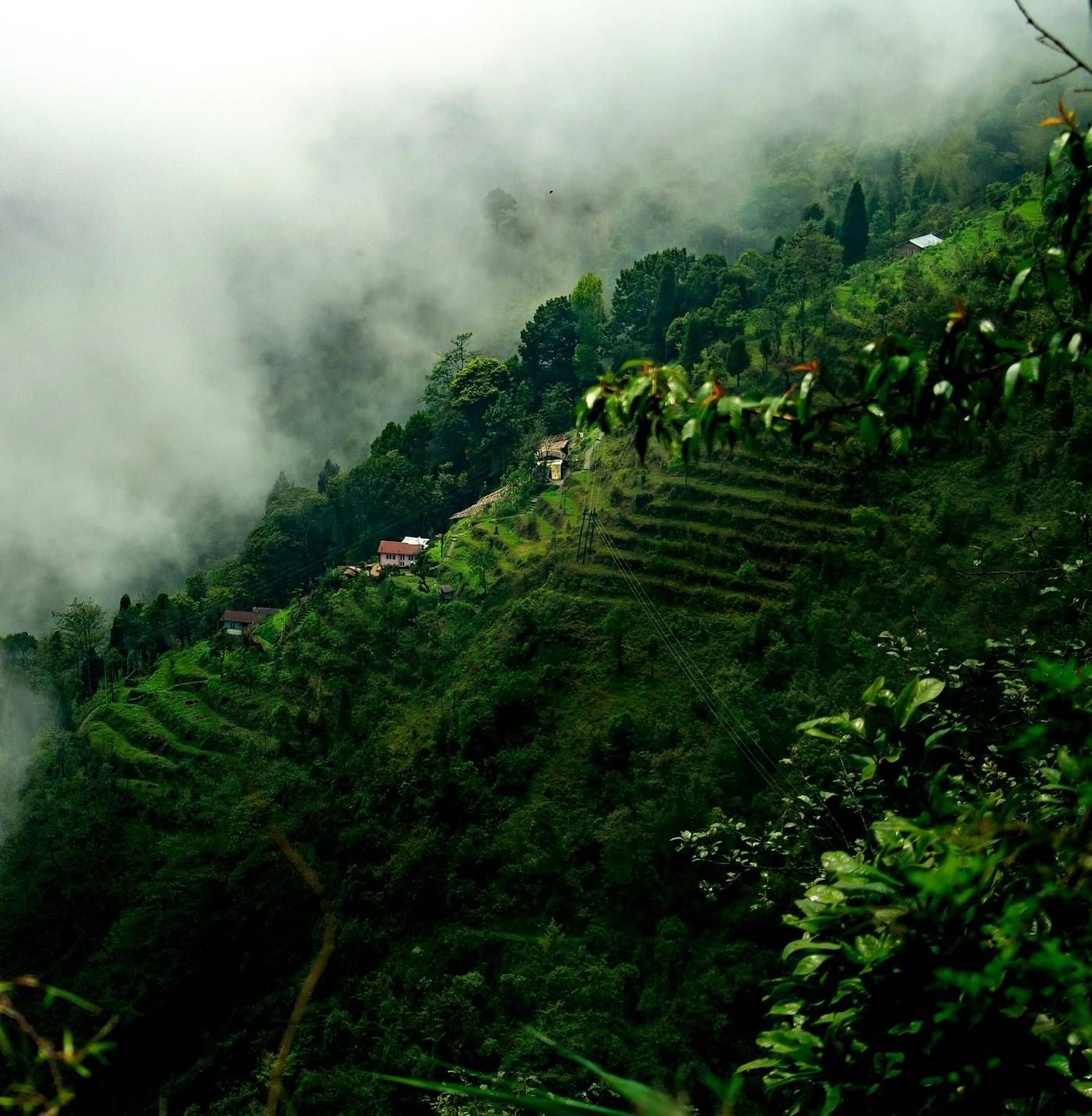 Aerial view of misty mountains.