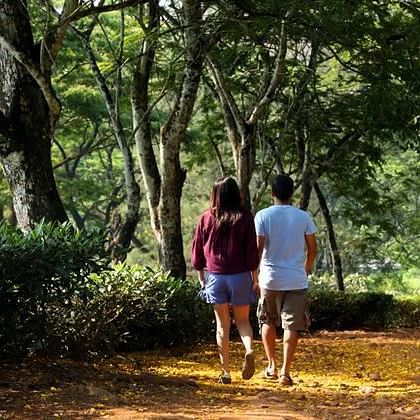 couple walking through the forest