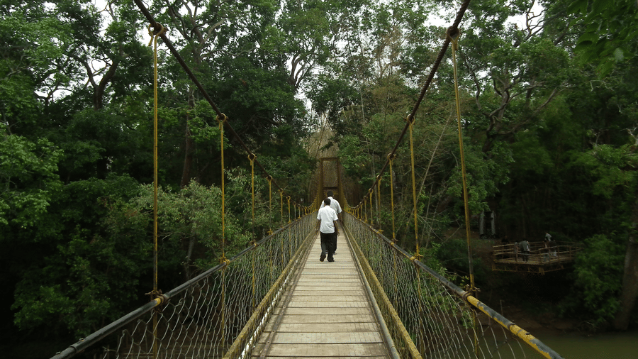 Two people walking on a hanging bridge in the middle of a jungle near Amanvana Resort & Spa
