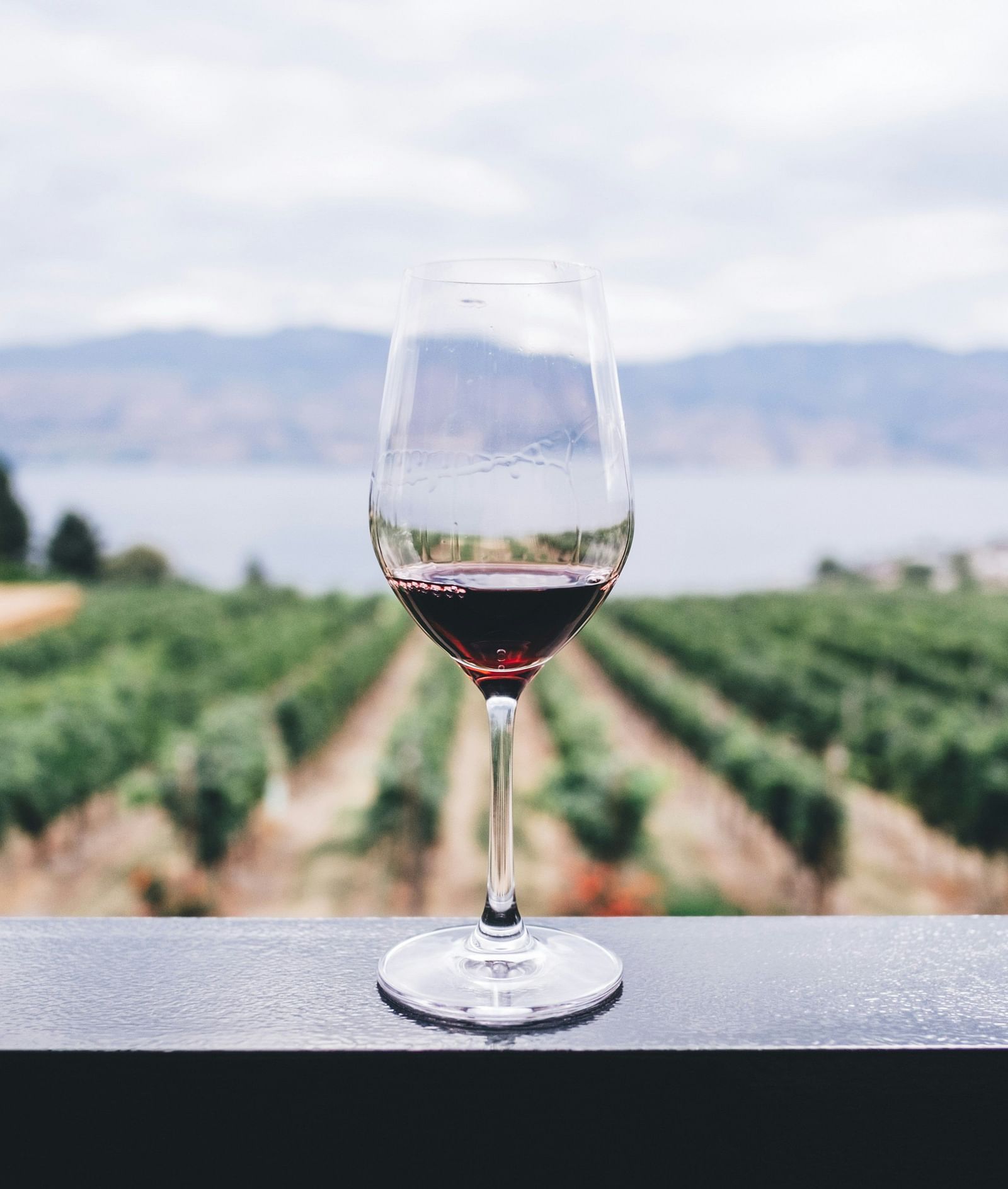 A glass of wine placed on a flat surface with vineyard as the background.