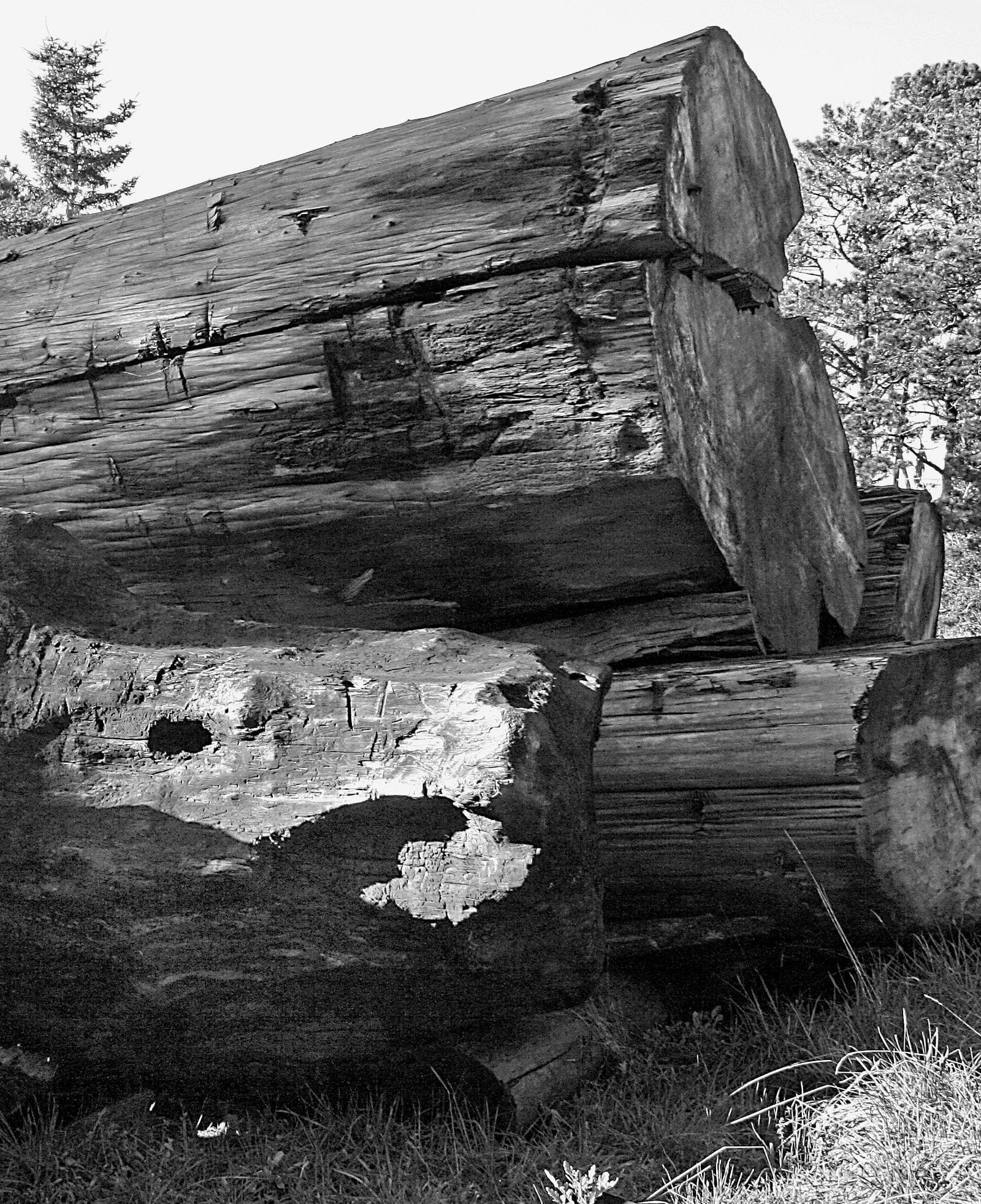 A black and white image of the sinker logs used in the construction of Brewery Gluch Inn & Spa