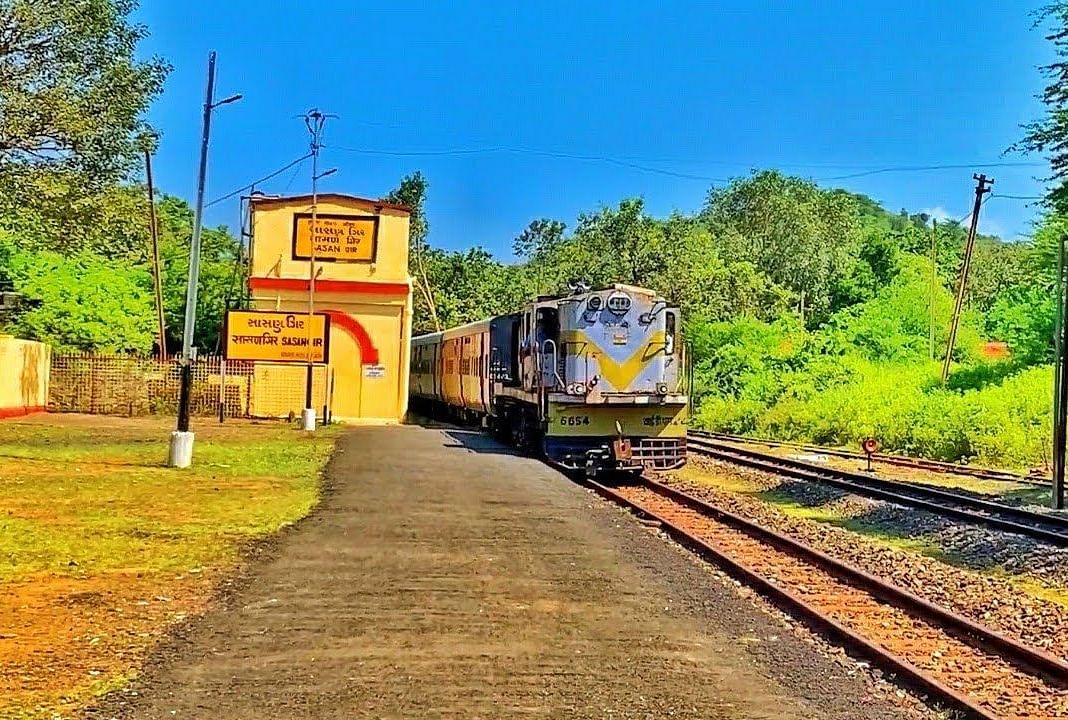 A train reaching the station with trees on one side and a road on the other side.