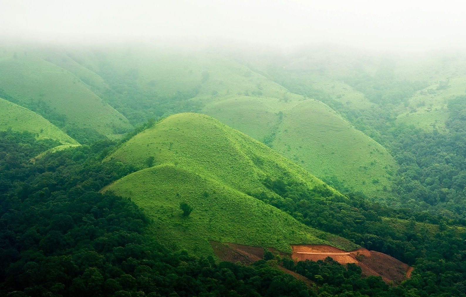 Orange-County-Article-A-Photographers-Guide-to-Coorg-part-II-by-Prathap-Photography-001