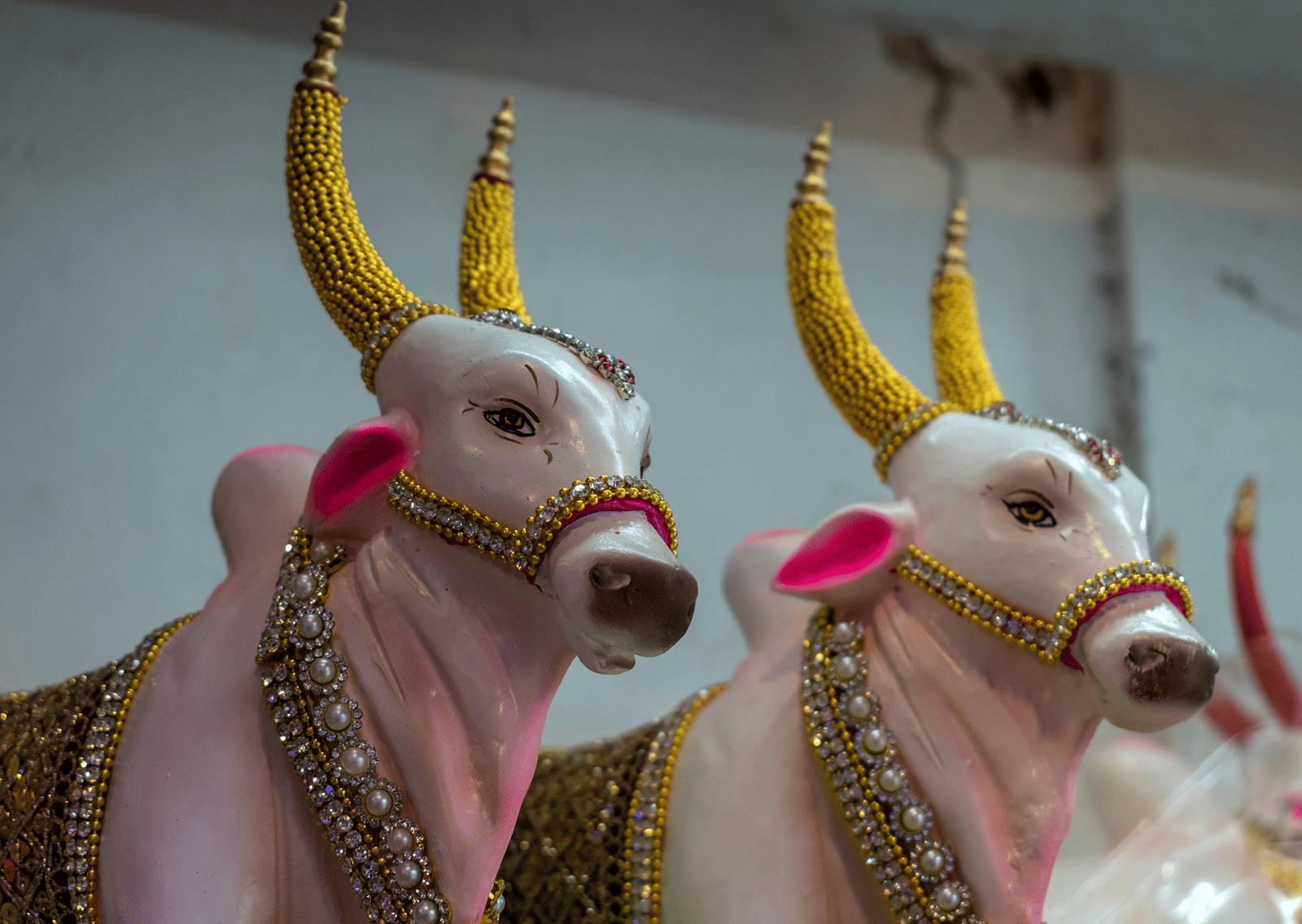 Two decorated cow figurines with painted yellow horns, symbolising worship during Vasubaras.