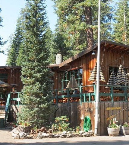 A rustic wooden building stands amidst tall pine trees with outdoor seating areas visible