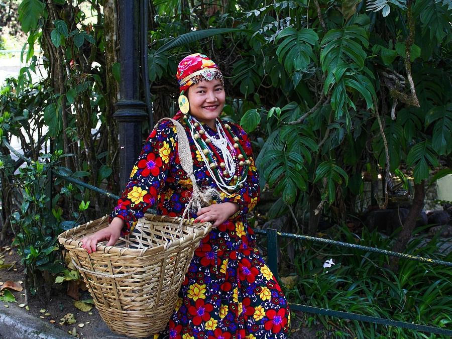 darjeeling-2946119 1920