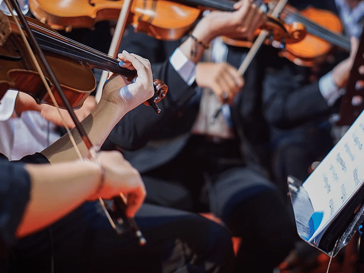 A refined ensemble of violinists dressed in black, lost in the harmony of their music - S Hotel Kingston, Jamaica