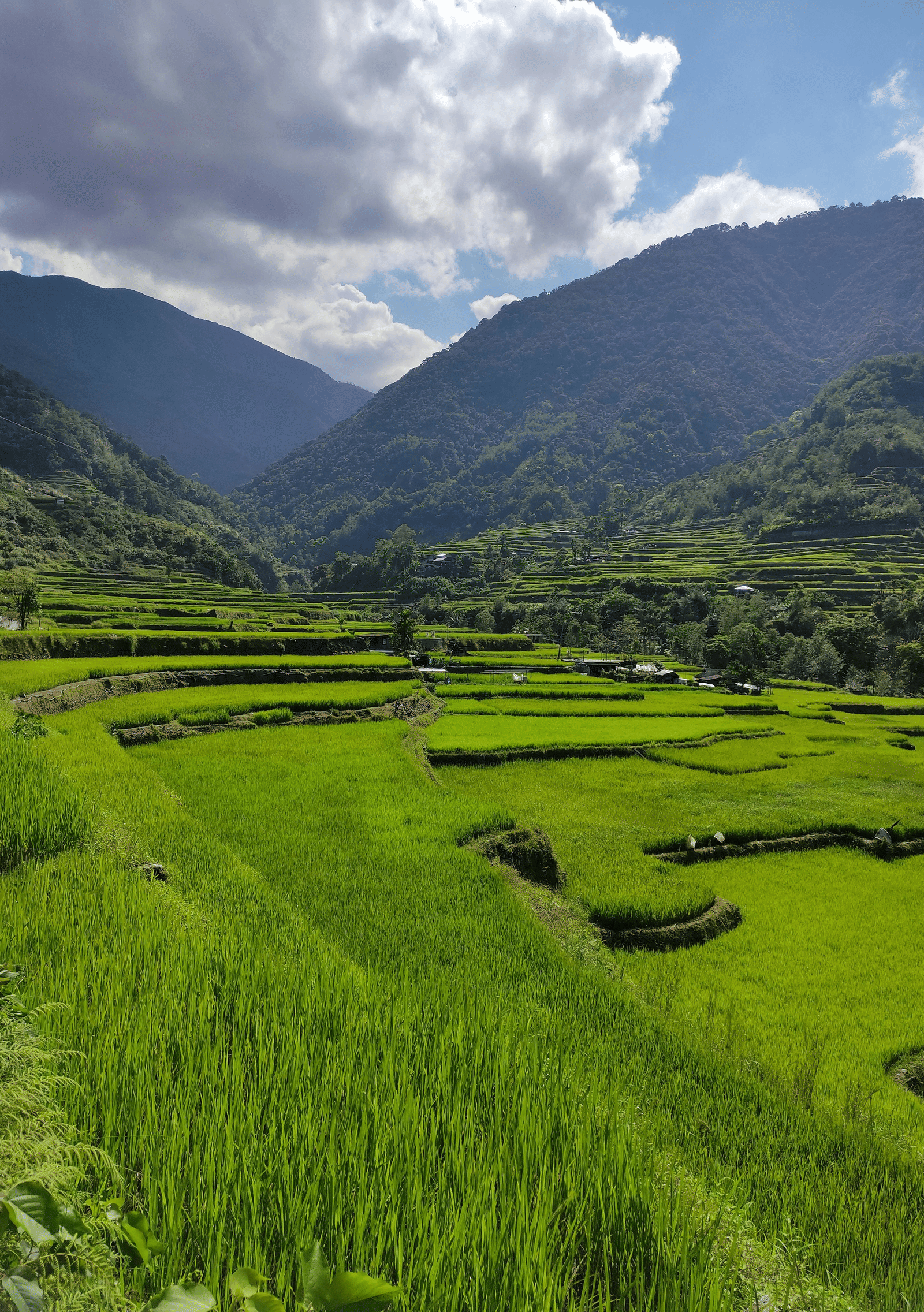 pexels-elgene-buhong-19166104-31860269