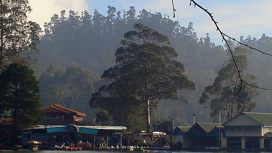 Holiday Home Resort,  Kodaikanal Kodaikanal explore kodaikanal