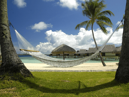 a hammock attached to two trees near a beach