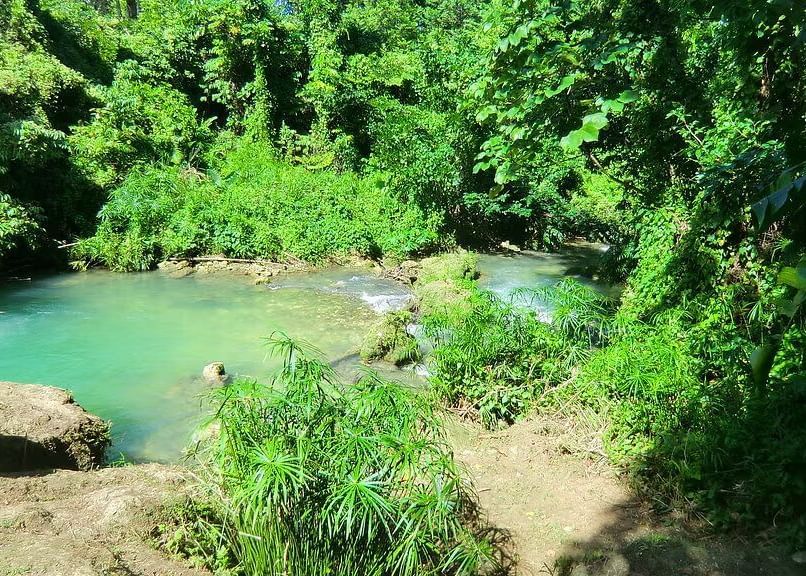 A tranquil natural pool with clear turquoise water is surrounded by dense green vegetation and rocks.