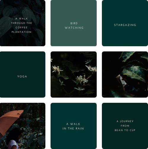 Adventure Activities in Chikmagalur at The Serai Chikmagalur