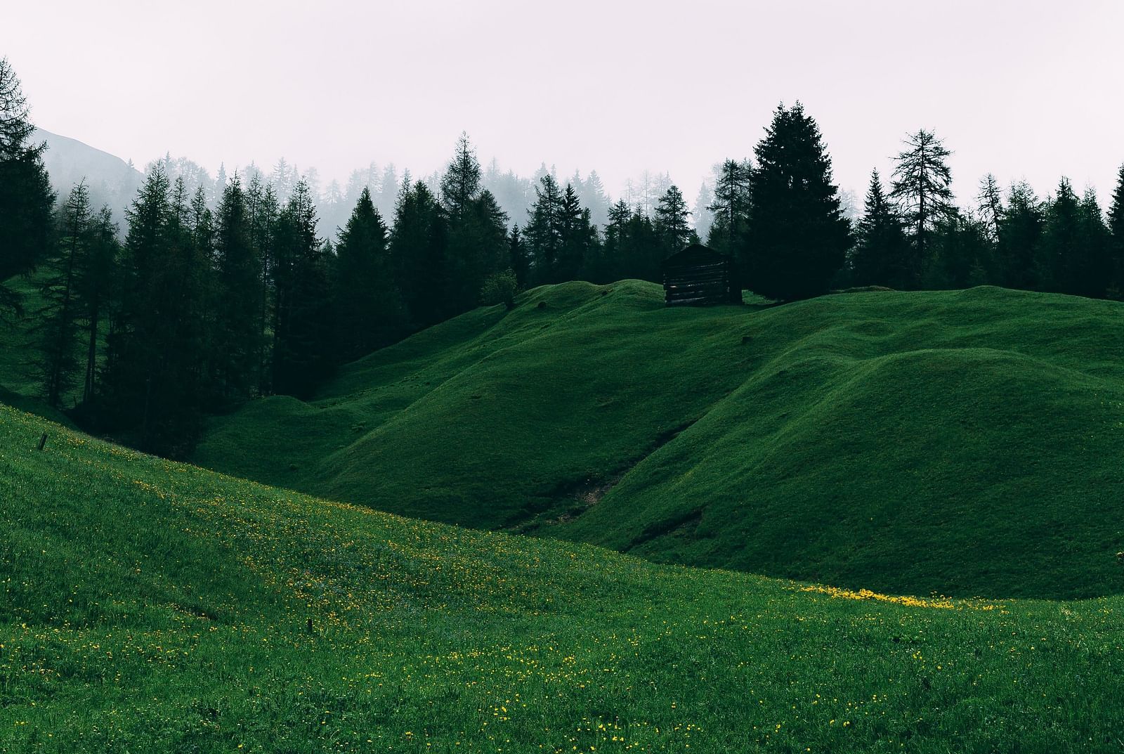An image of a hill station with green valleys