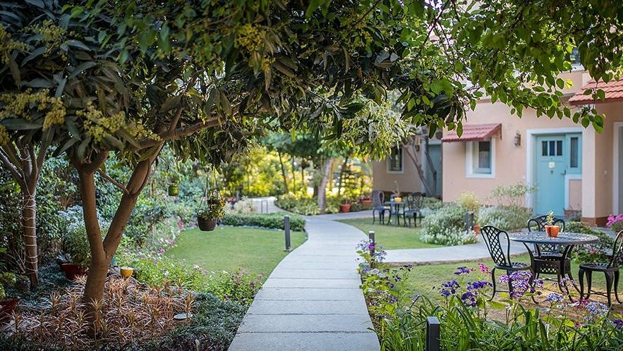 Walkway through a garden with trees and outdoor seating, leading to a light-coloured house in the background at Karma Chalets.