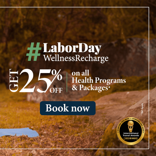 Labor Day Web Banner at YO1 Longevity and Health Resorts featuring a woman stretching by the lake on a yoga mat
