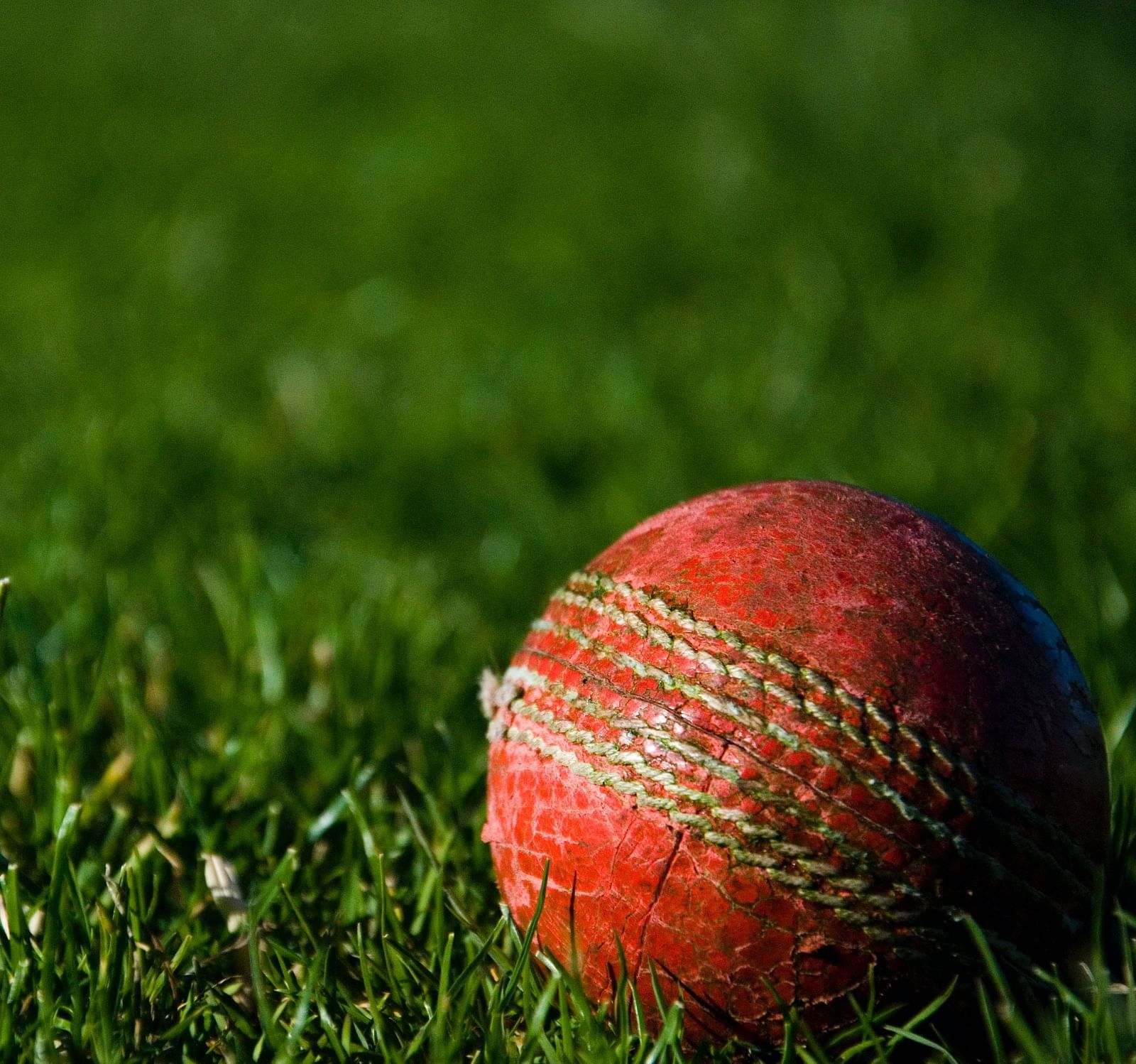 A cricket ball placed on grass