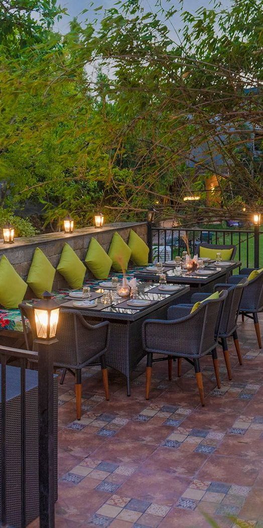 jungle grill- The Golden tusk