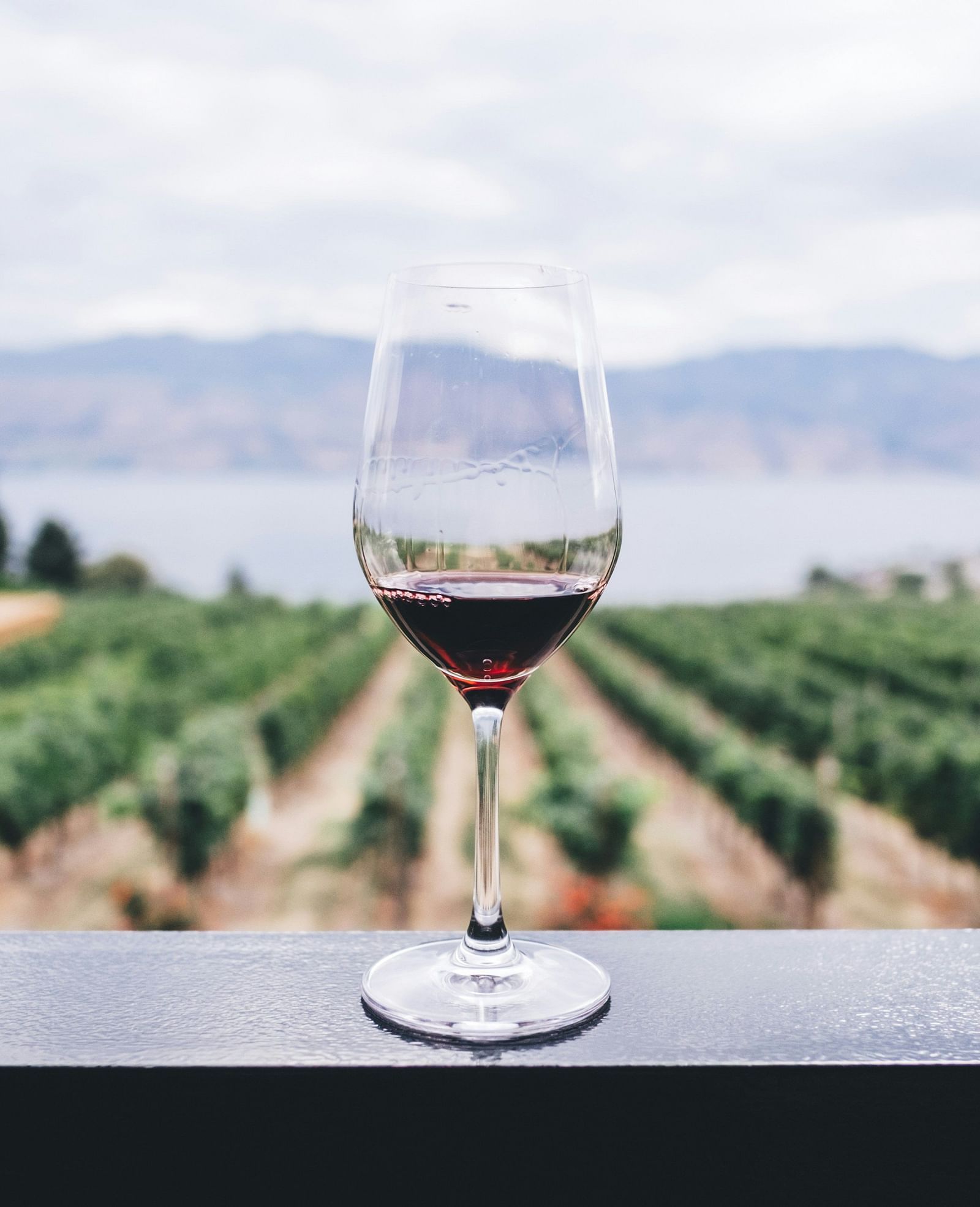 A glass of wine placed on a flat surface with vineyard as the background.