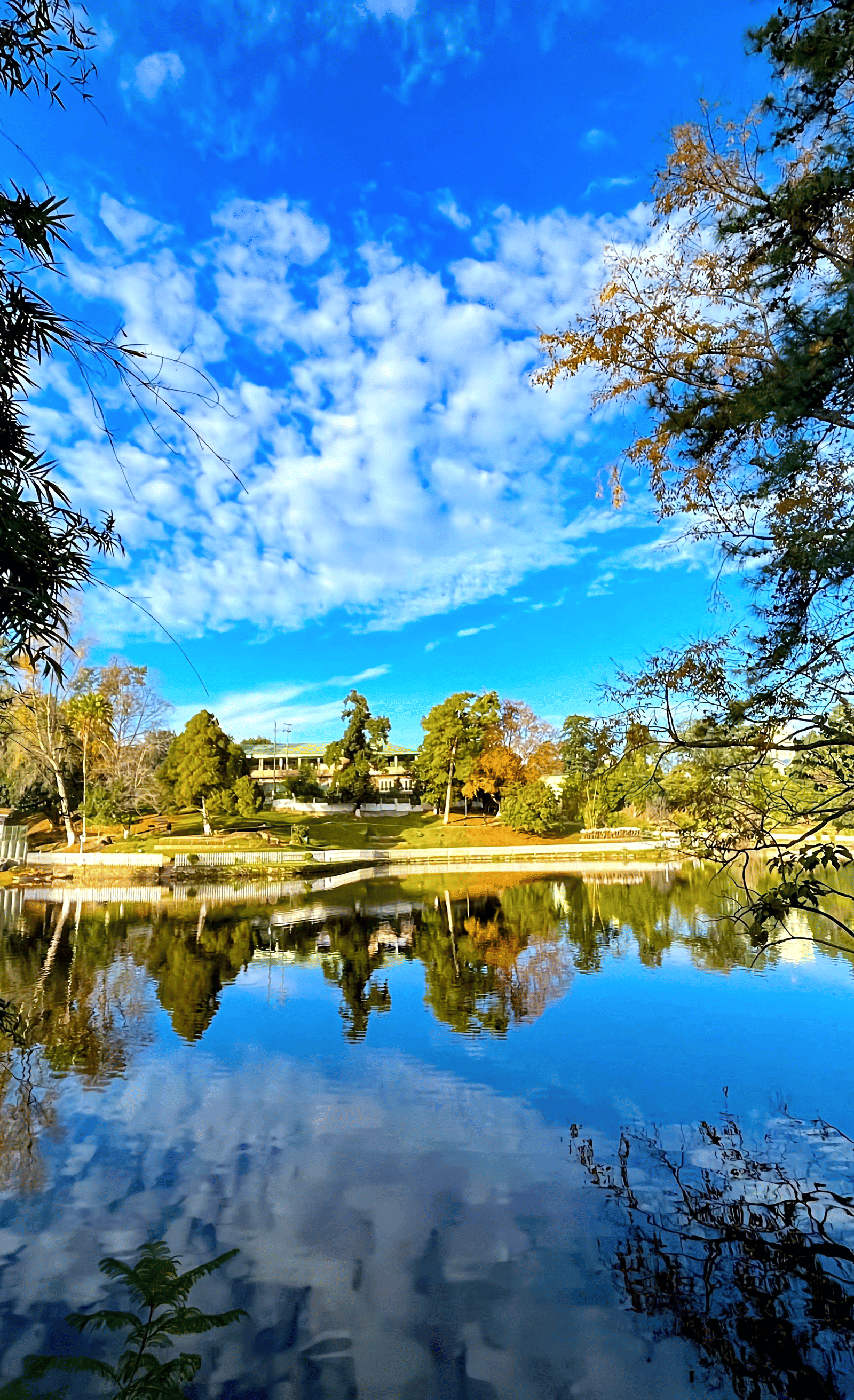 Wards Lake Image