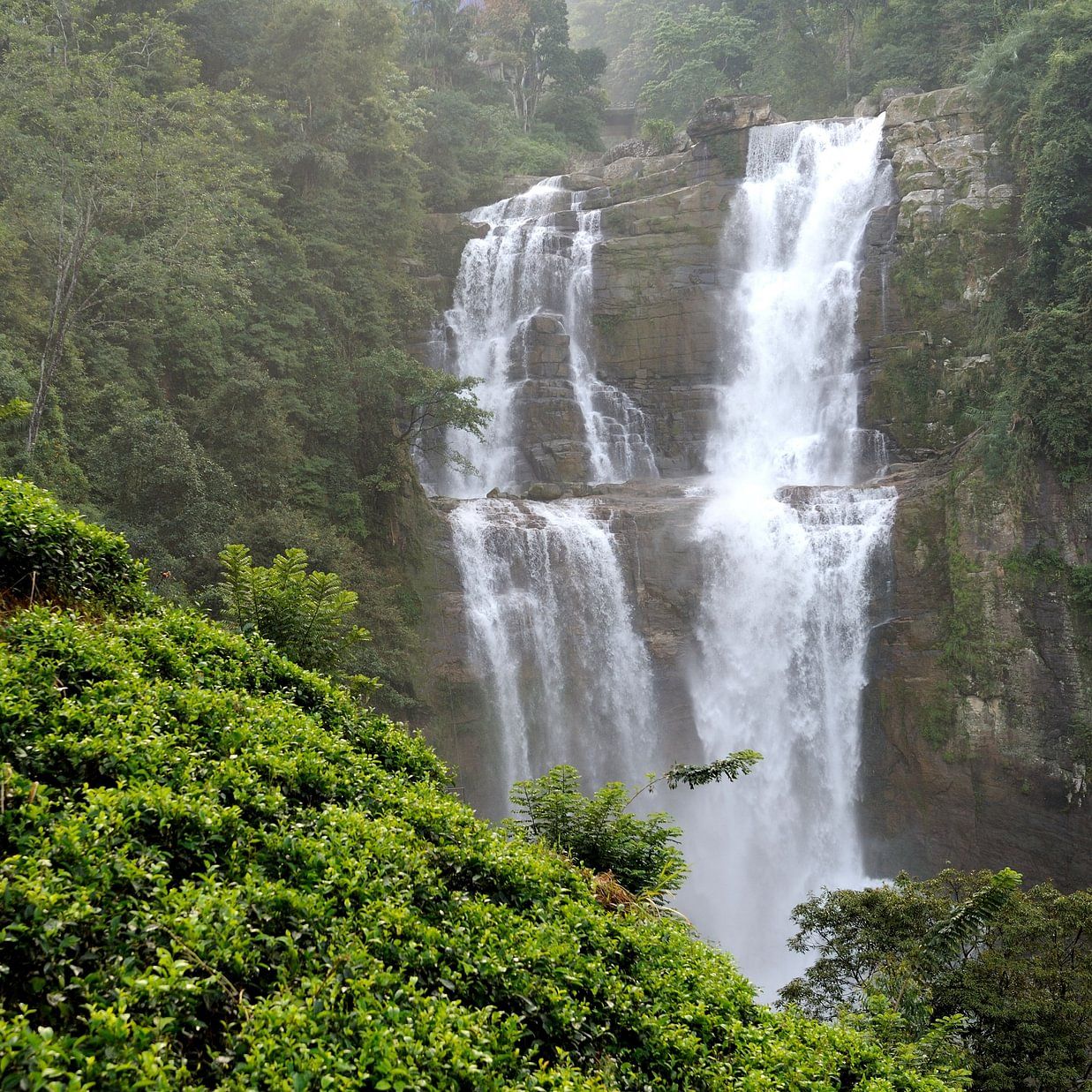 Majestic twin waterfalls cascading down a lush green cliff surrounded by dense forest vegetation.