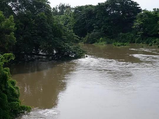 Arisil river flowing through lush greenery, surrounded by nature near Dharasuram