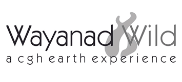 Wayanad Wild  Kunnathidavaka Copy of Wayanad Wild