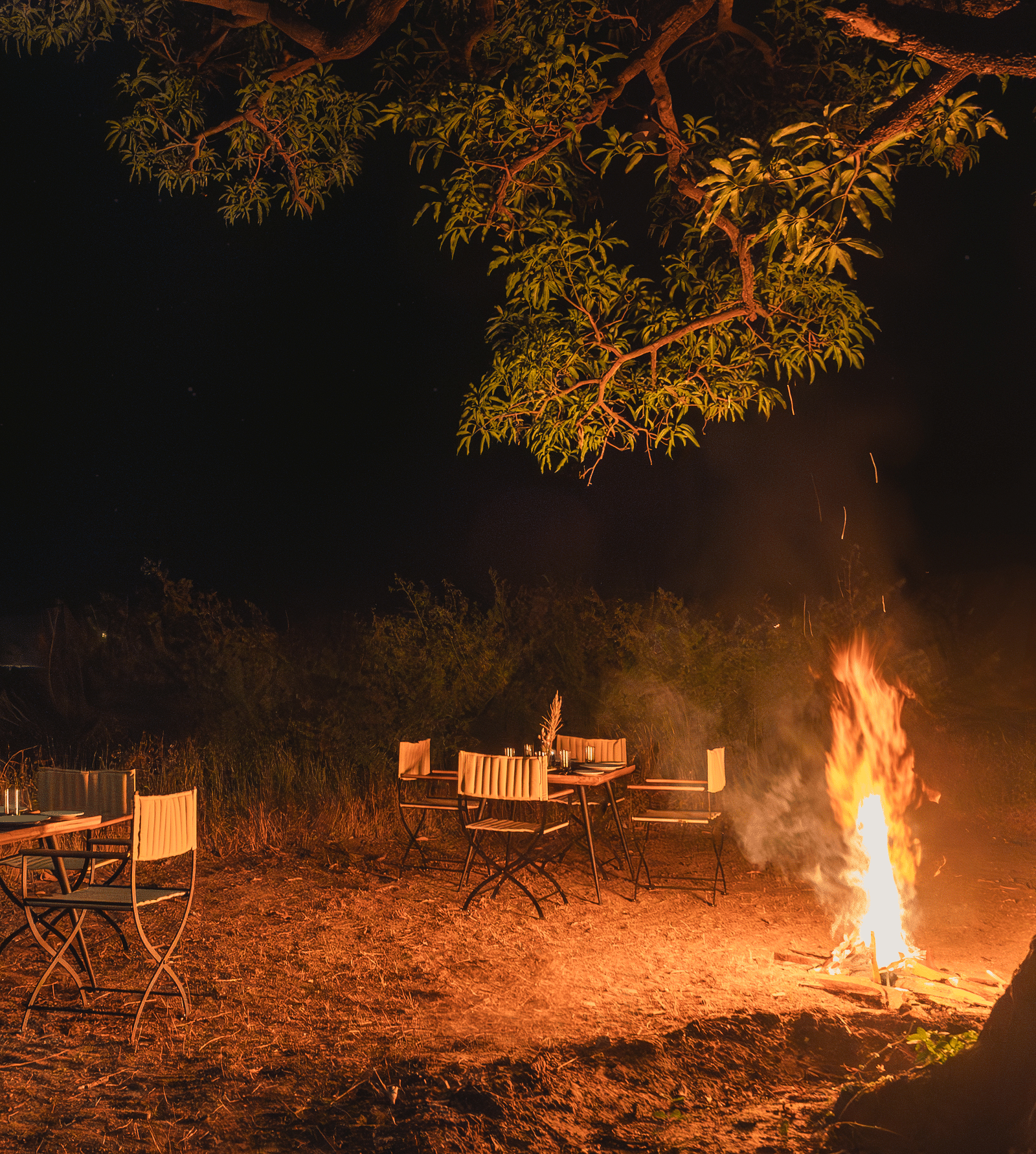 A bonfire surrounded by dining setups at Trees N Tigers, Tadoba.