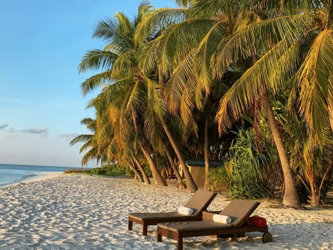 Two wooden sun loungers placed on a white sandy beach shaded by tall lush palm trees with calm turquoise sea water and clear blue sky visible in the background.
