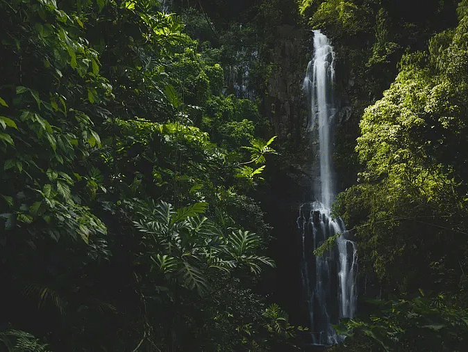 Scenic view of a waterfall surrounded by dense forest.