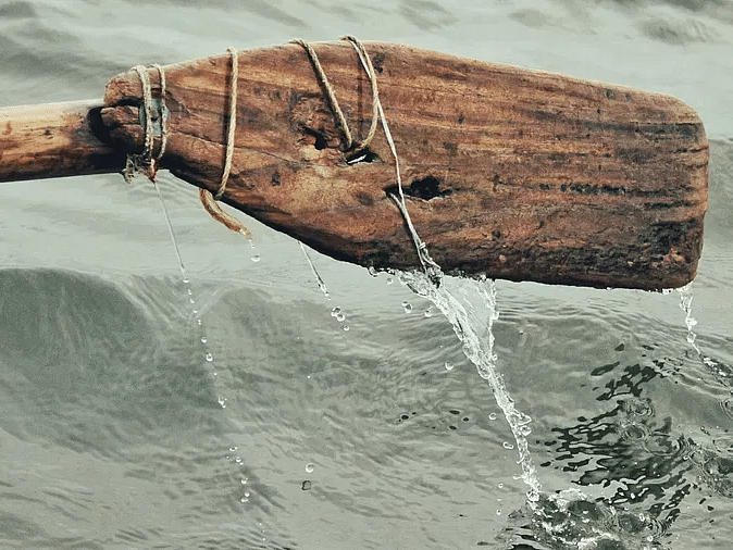A close-up of a wooden oar with water dripping from the end.