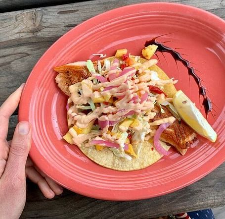 An image of a salmon taco placed in a plate