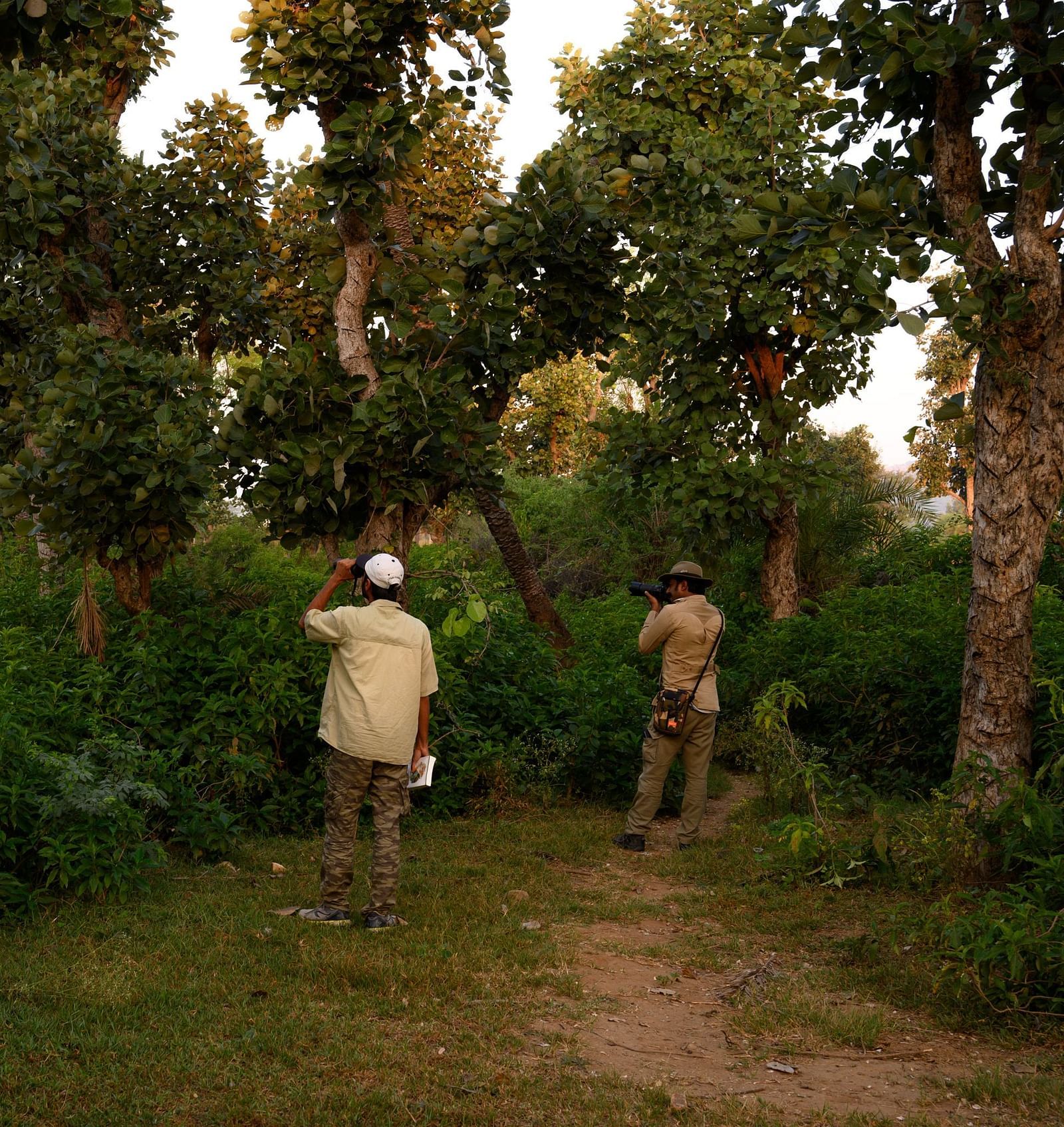 An image of two man walking through a green forest - Utsav Camp Sariska