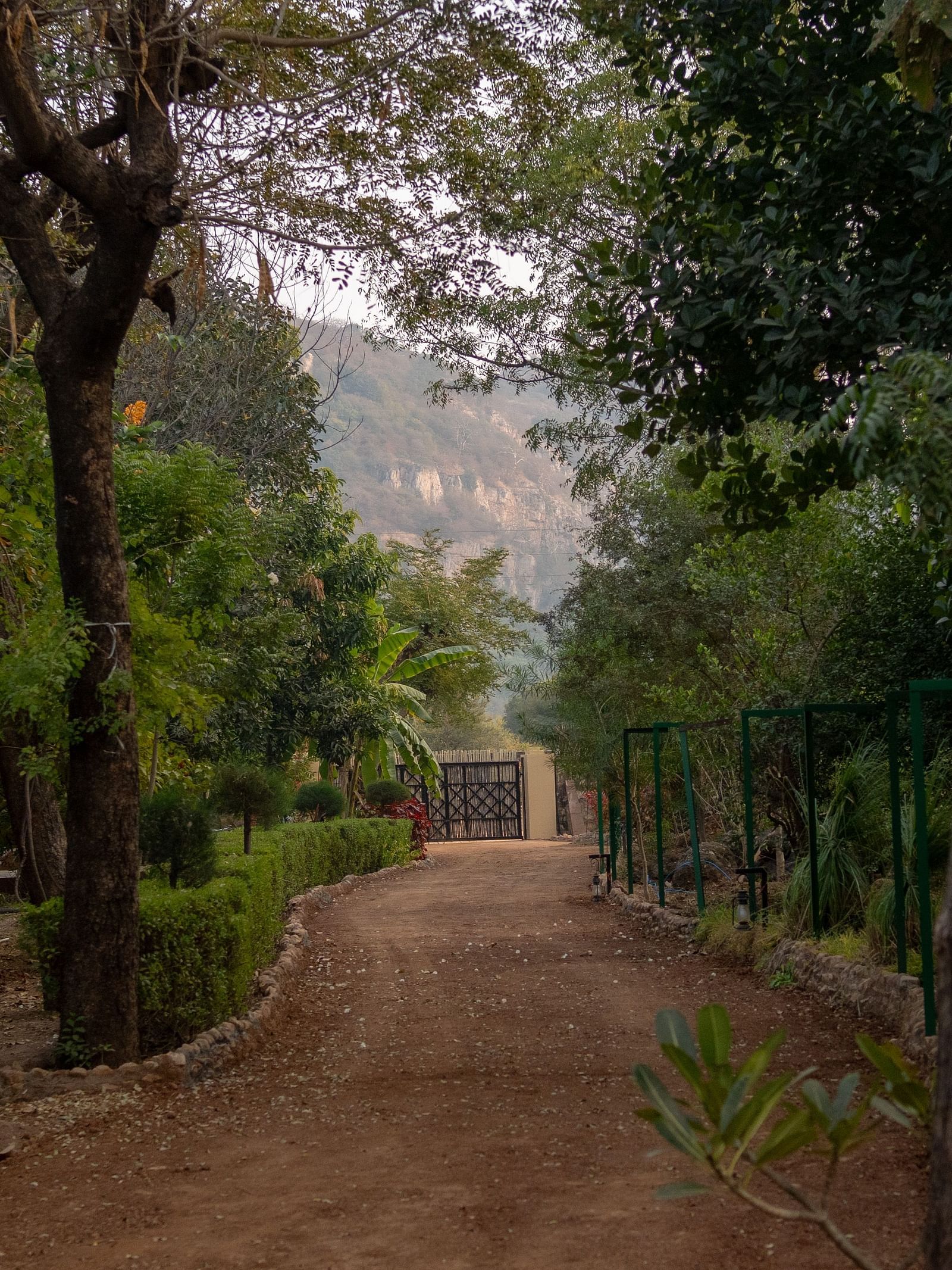 A winding dirt pathway through a natural landscape at Aamaghati Jungle Retreat Ranthambore.