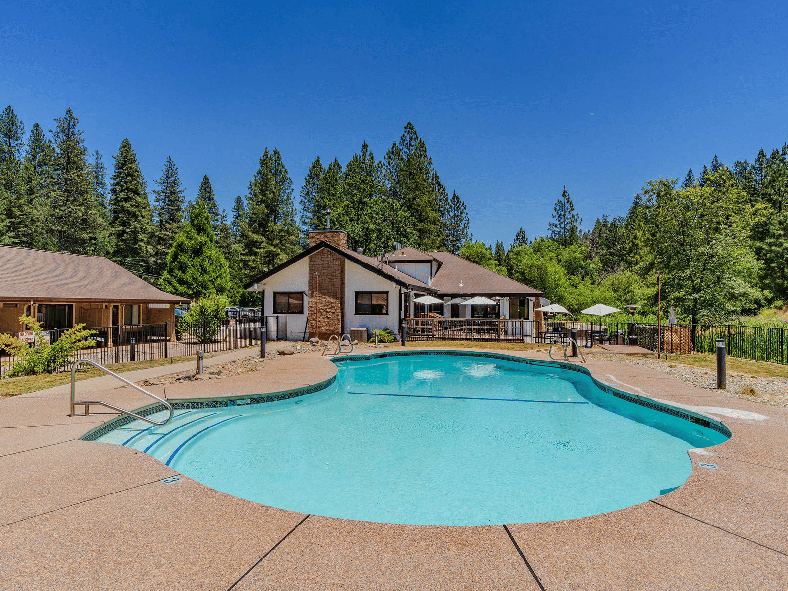 A view of the outdoor swimming pool at Amador Hotel with a cabin in the woods in the backdrop.