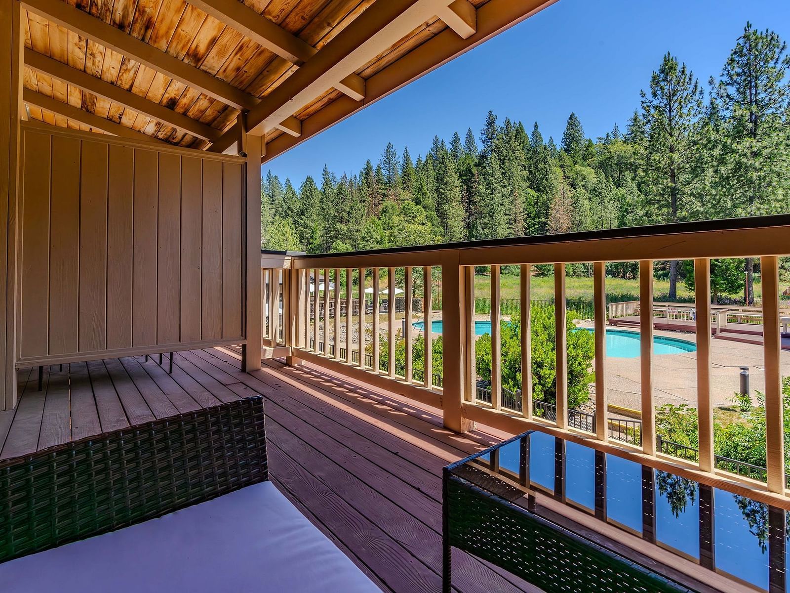 A view of the forest from a balcony of one of the rooms at Amador Hotel.